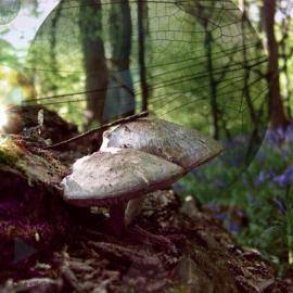 Mat Miller 超现实主义的抽象插画作品