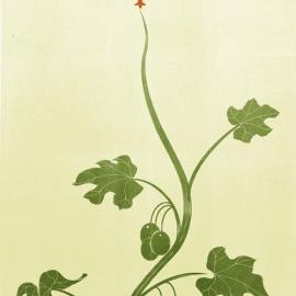 Alessandro Gottardo插画作品