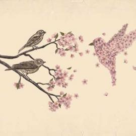 Terry Fan 插画作品欣赏