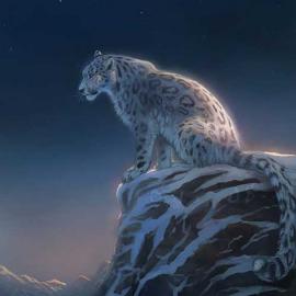 Anastasia Korochansckaja 插画作品欣赏