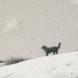 Quint Buchholz：灵魂的出口2