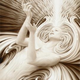 爱情的灵魂―Andrew Gonzalez