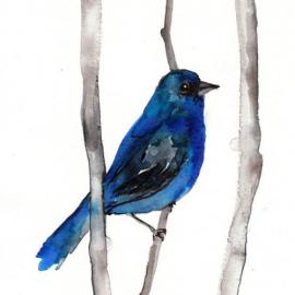 Mai Autumn插画作品