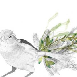 BETH EMILY-空灵的美