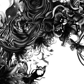 日本插画家Kahori Maki作品欣赏