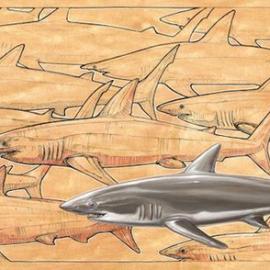 生命的呼唤-旧金山美术馆Spoke Art Gallery鲨鱼主题展