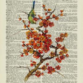 美国艺术家Jean Cody作品