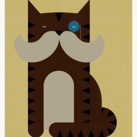 将“猫”进行到底