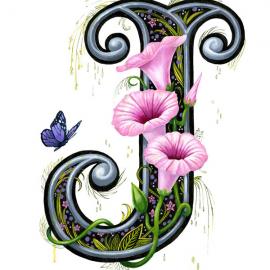 Gina and Matt 工作室作品