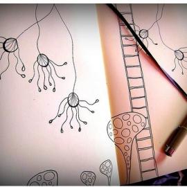 小本子里的小故事