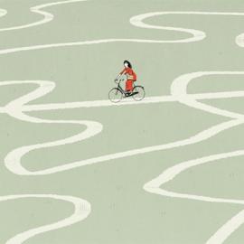 Dadu Shin插画作品