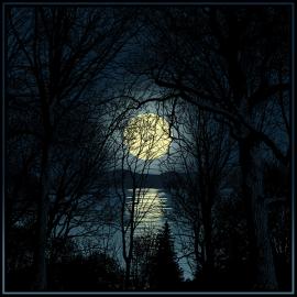 Dan Mccarthy的插画海报作品