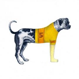 澳大利亚艺术家 CLAUDE JONES 动物系列作品