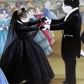 喵喵的世界――猫