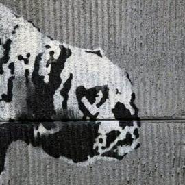 酒醉米奇大闹比佛利山―Banksy