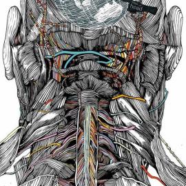 Body illustrations 2骨骼插画