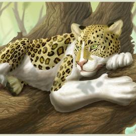 迷人的猫科动物插画（二）