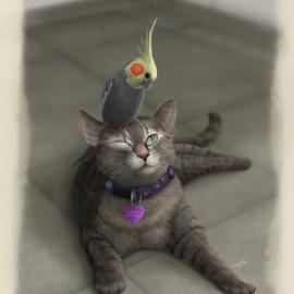 迷人的猫科动物插画（一）