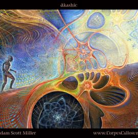 美国非主流个性插画