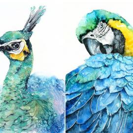 Watercolor Birds Portraits