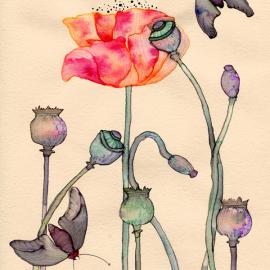 大自然手记 丨作者：Colleen Parker