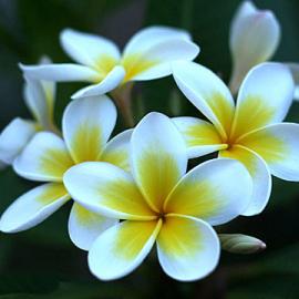 冬天来了春天还会远吗（二）