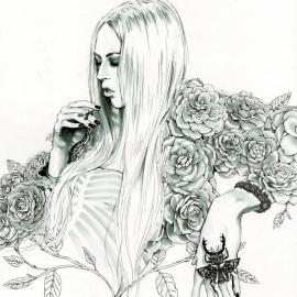 德国女插画师fine kohl作品欣赏