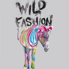 Wild Fashion 野生时尚插画