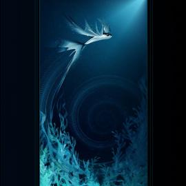 插画描绘多姿多彩的水下世界（一）