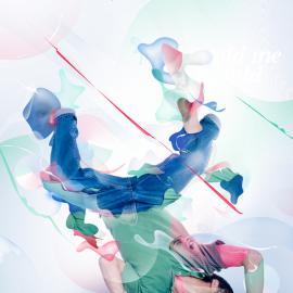 Tim & Bram Vanhaeren 混合插画欣赏（二）