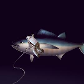 俄罗斯插画家Max Kostenko作品