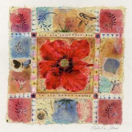 Petula Stone插画作品欣赏