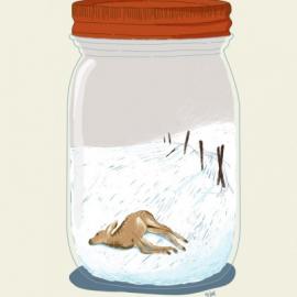 Yasmine 插画―瓶子里的世界