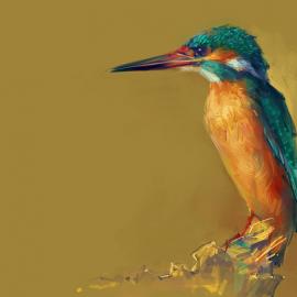 诸海波（zhuzhu）2008年插画培训班教学示范图集（一）