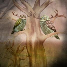 别样童话梦幻荒诞的灰调子