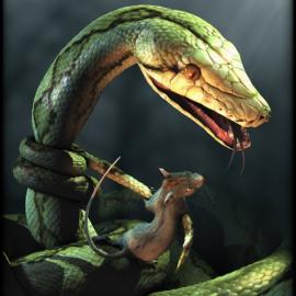 波兰Anna Celarek电脑图像作品欣赏