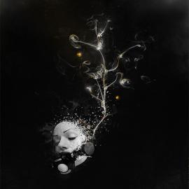 波兰年轻设计师Peter Nowacki平面插画欣赏