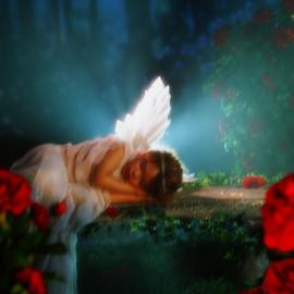 美国 Ggig 作品欣赏