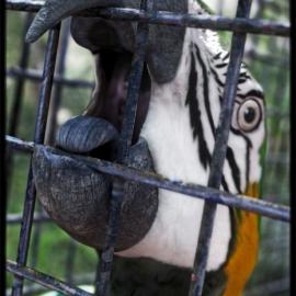 Massimo Righi MAYA作品