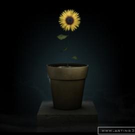 Constantine Krystallis MYYA作品欣赏