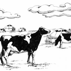 大声旺旺的插画3