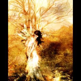 美国 saiaii 插画欣赏