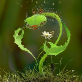 Priymuk Sergey MAYA作品