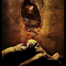 哥伦比亚 Marcela 作品欣赏