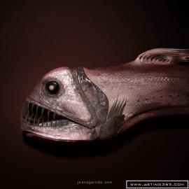 Joana Garrido 3D作品欣赏