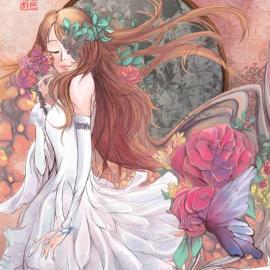 杭州无色花籽插画作品