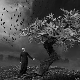 来自芬兰的鬼魅作品欣赏