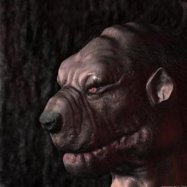 PIRAT Sébastien作品欣赏