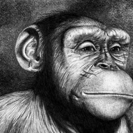 美国ankuhta 黑白稿欣赏[二]