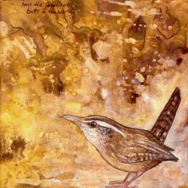 Ursula Vernon动物插画作品欣赏一